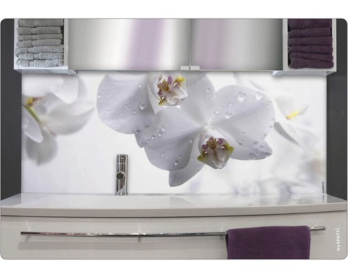 Stänkskydd till badrum MYSPOTTI Aqua vit 900 x 450 mm Floral
