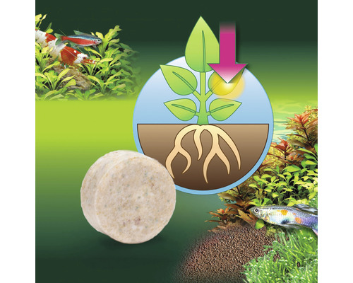 Gödningstablett för akvarieväxter med symbol för näringsupptag