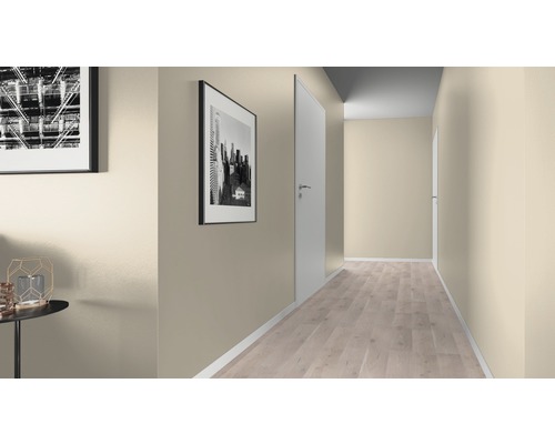 Hall med dörrar, laminatgolv och väggfärg