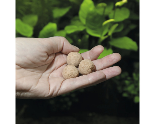 Hand håller gödningskulor för akvarieväxter