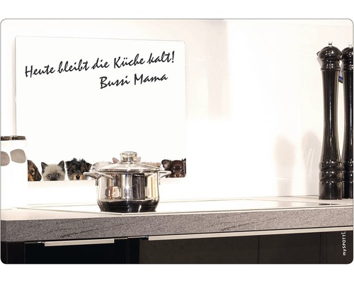 "myspotti magnetisk tavla med hundmotiv och texten ""Idag förblir köket kallt! Bussi Mama"" i ett kök"