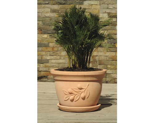 Inomhusväxt i terrakottakruka med olivträdsdekoration