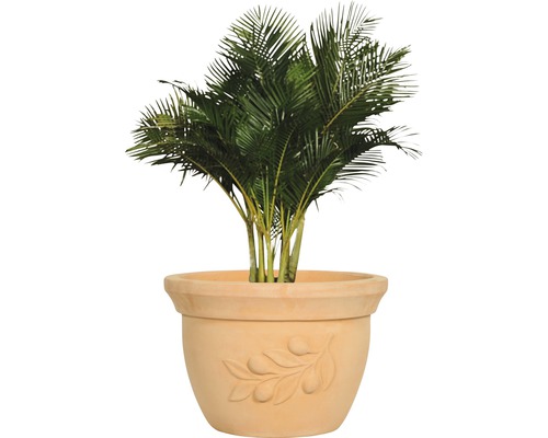 Guldpalmen i terrakottakruka med olivkvistdesign