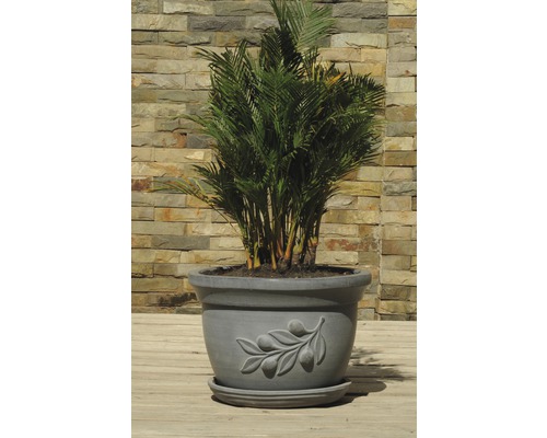 Palm i grå blomkruka med olivgrensmotiv för utomhusbruk