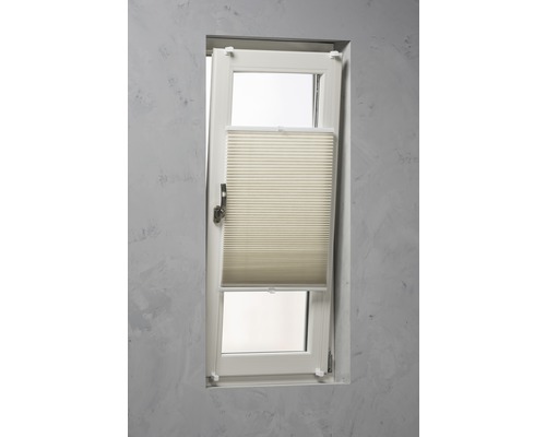 Fönster med plisségardin för ljusreglering