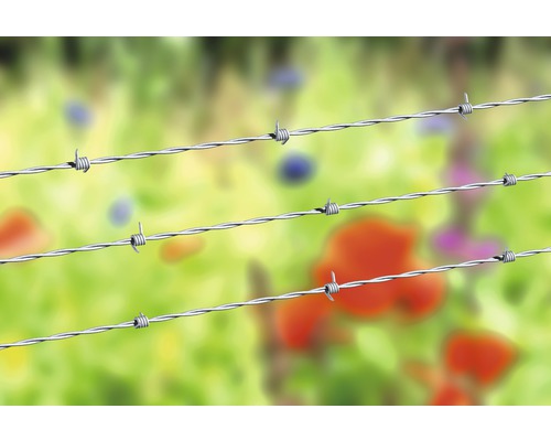 Tre rader taggtråd mot en suddig bakgrund