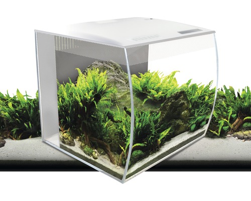 Hörnakvarium dekorerat med växter och stenar