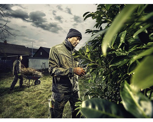 Trädgårdsmästare beskär häck med trädgårdssax, en annan trädgårdsmästare transporterar bort trädgårdsavfall med en skottkärra