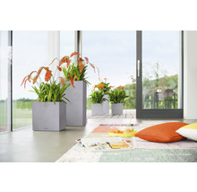Självvattnande blomkruka LECHUZA Canto Color hög plast 30x30x56cm grå