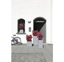 Självvattnande blomkruka LECHUZA Canto Color hög plast 30x30x56cm grå
