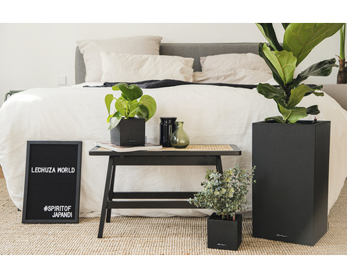 Dekorativa krukväxter i Lechuza-krukor bredvid en säng.