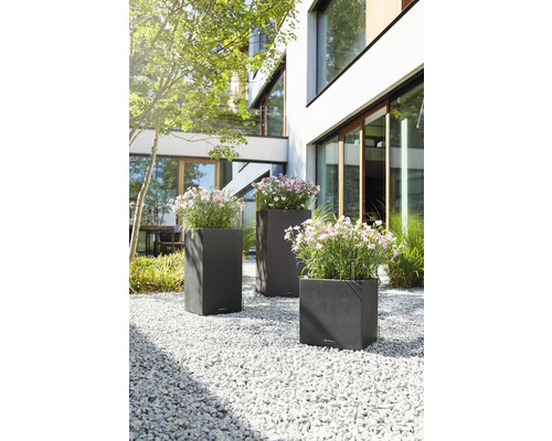 Tre blomlådor med blommor i trädgården framför ett modernt hus