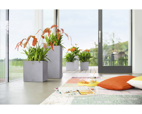 Rumsutsikt med växter i fyrkantiga ytterkrukor