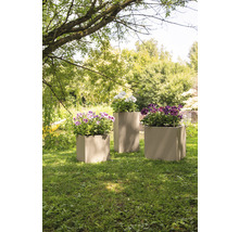 Tre blomlådor med blommor i trädgården