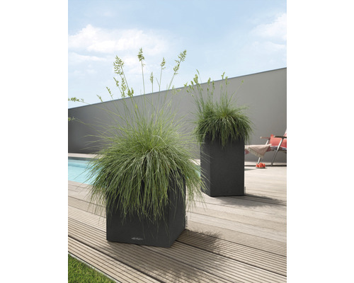 Två fyrkantiga blomkrukor med gräs på en träterrass