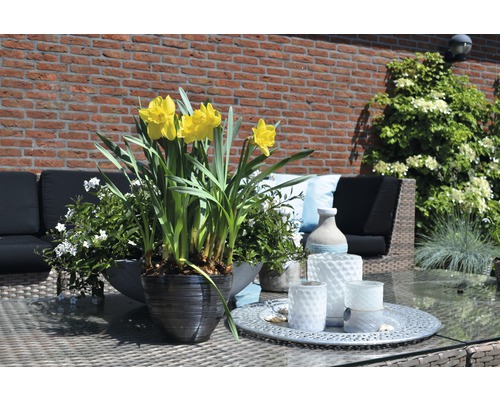 Dekorerat trädgårdsbord med påskliljor i en kruka, omgiven av dekorationer och trädgårdsmöbler