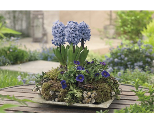 Hyacinter i en planteringslåda på ett trädgårdsbord