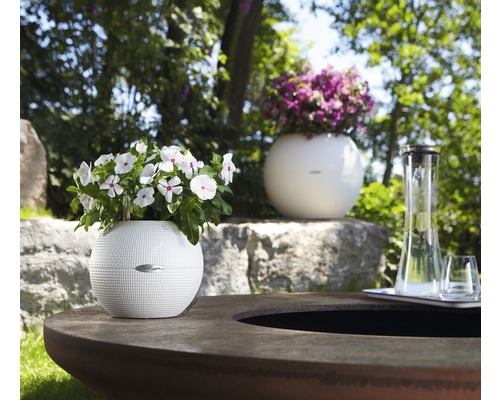 Scen med Lechuza blomkrukor på ett bord utomhus.