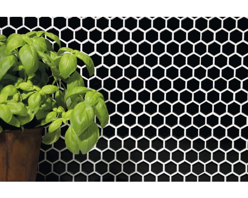 Väggbild med svarta hexagonplattor och krukväxt