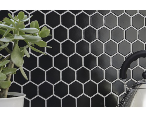 Vägg med svarta hexagonplattor och växt i kruka