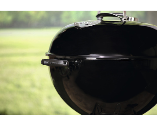 Weber klotgrill i detalj