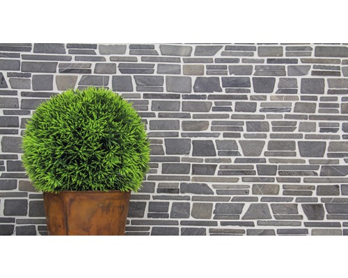 Dekorativ stenmur med krukväxt