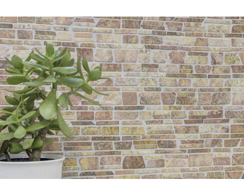 Dekorativ stenmur med krukväxt inomhus