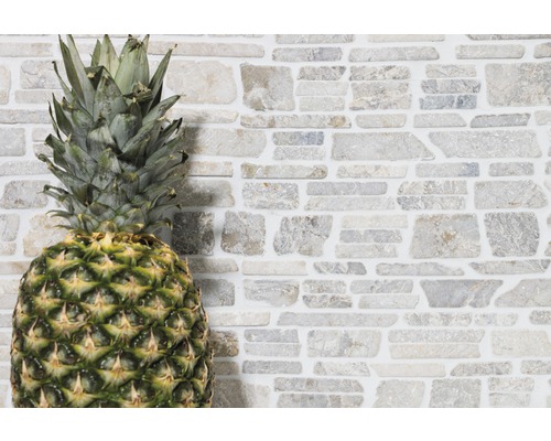 Dekorativ vägg med naturstensbeklädnad och ananas