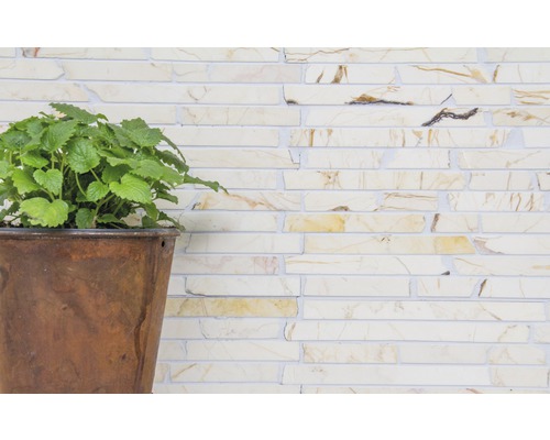 Växt i kruka framför en vägg av tegelstenar