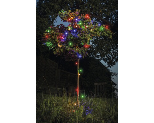 Träd med mångfärgad ljusslinga i trädgården