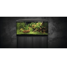 Akvarium med underskåp, planterat med vattenväxter och stenar
