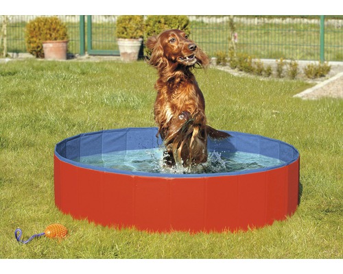 Hundpool KARLIE Doggy Pool 160cm röd/blå