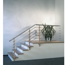 Trappa med rostfritt stålräcke och växt