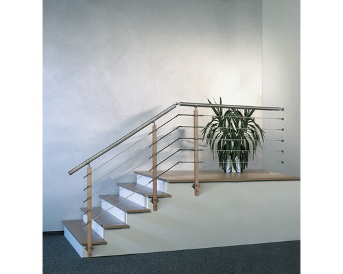 Trappa med rostfritt stålräcke och växt