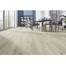 Laminatgolv KRONOTEX Mammut Makro beige ek