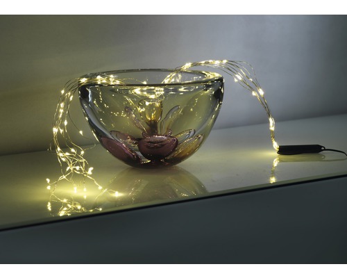 Dekorativ glasskål med filigran LED-ljusslinga
