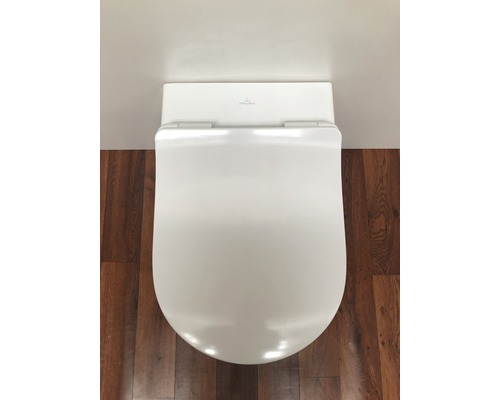 Översikt av en vägghängd toalett med djup spolning och cistern