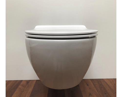 Vägghängd toalett i keramik med stängt toalettlock