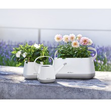 Arrangemang av planteringskärl och vattenkanna med blommor