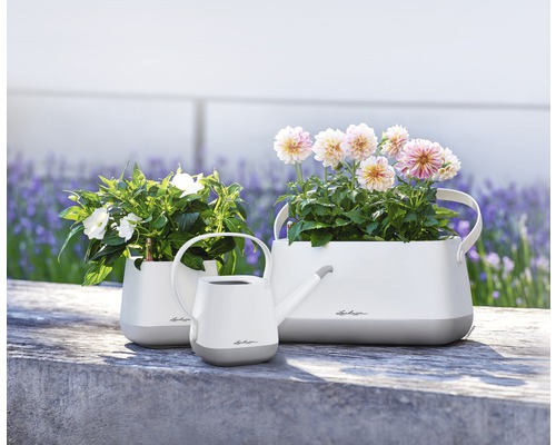 Arrangemang av planteringskärl och vattenkanna med blommor