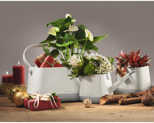 Dekorativa blomkrukor i form av vattenkannor med växter och juldekorationer