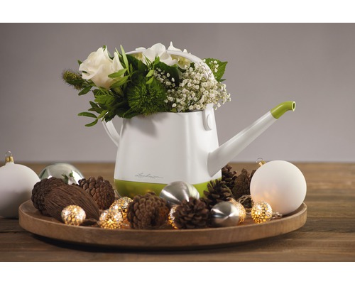 Lechuza vattenkanna med blomsterarrangemang på träbricka med dekoration