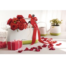 Dekorativ scen med Lechuza blomkrukor, blommor, present och rosenblad