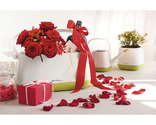 Dekorativ scen med Lechuza blomkrukor, blommor, present och rosenblad