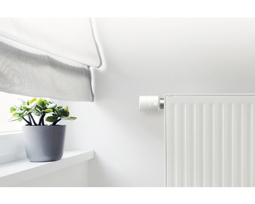 Element med elektronisk termostat, gardin och krukväxt på fönsterbräda