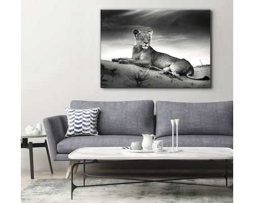 Dekorativ duk med svartvitt foto av ett lejoninna, hängande i ett vardagsrum ovanför en soffa.