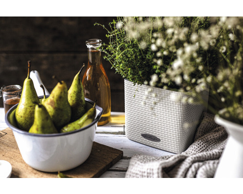 Stilleben med päron i skål och örter i planteringskärl