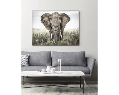 Väggbild med elefantmotiv ovanför en soffa