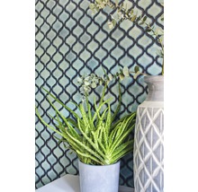 Dekorativ vägg med blommotiv och krukväxt