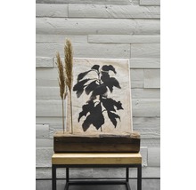 Bjälke BUILDIFY Vintage rustik äkta åldrat trä 120-140x2000 mm